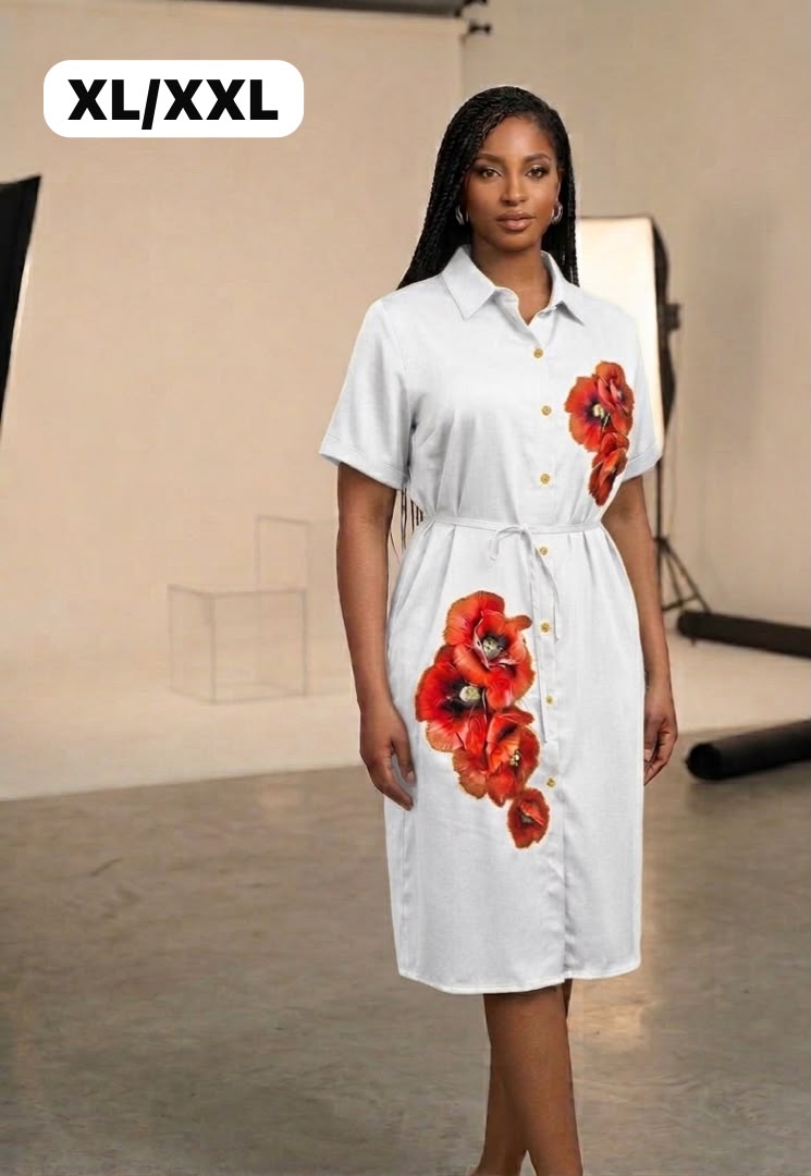 Ladies fashion straight dress