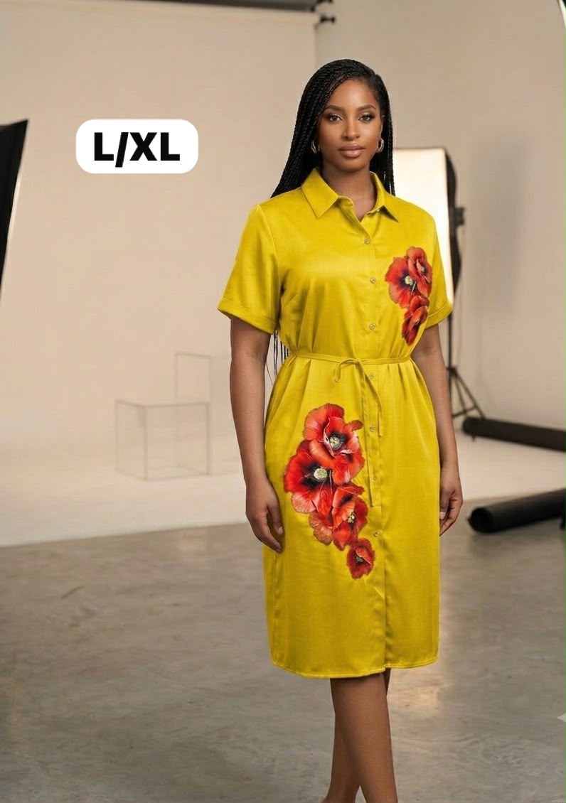 Ladies fashion straight dress
