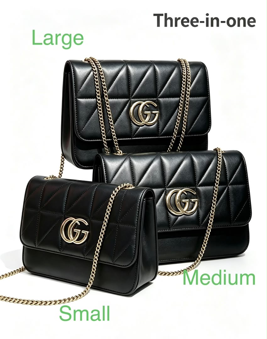 3-1in-1 women bag #172